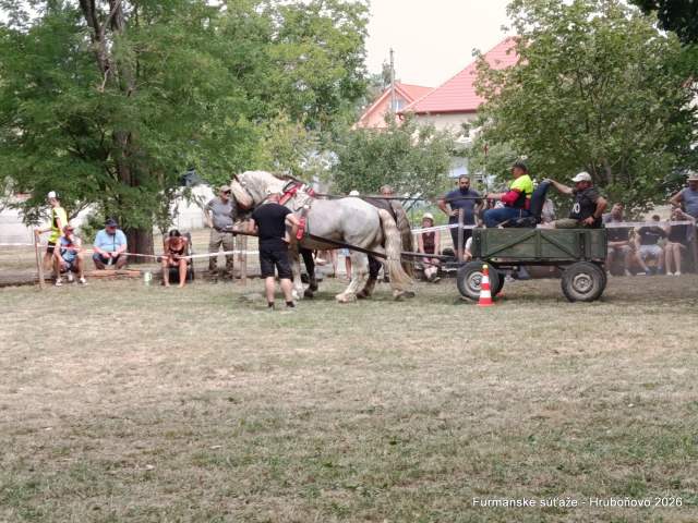 IMG_20260801_113510